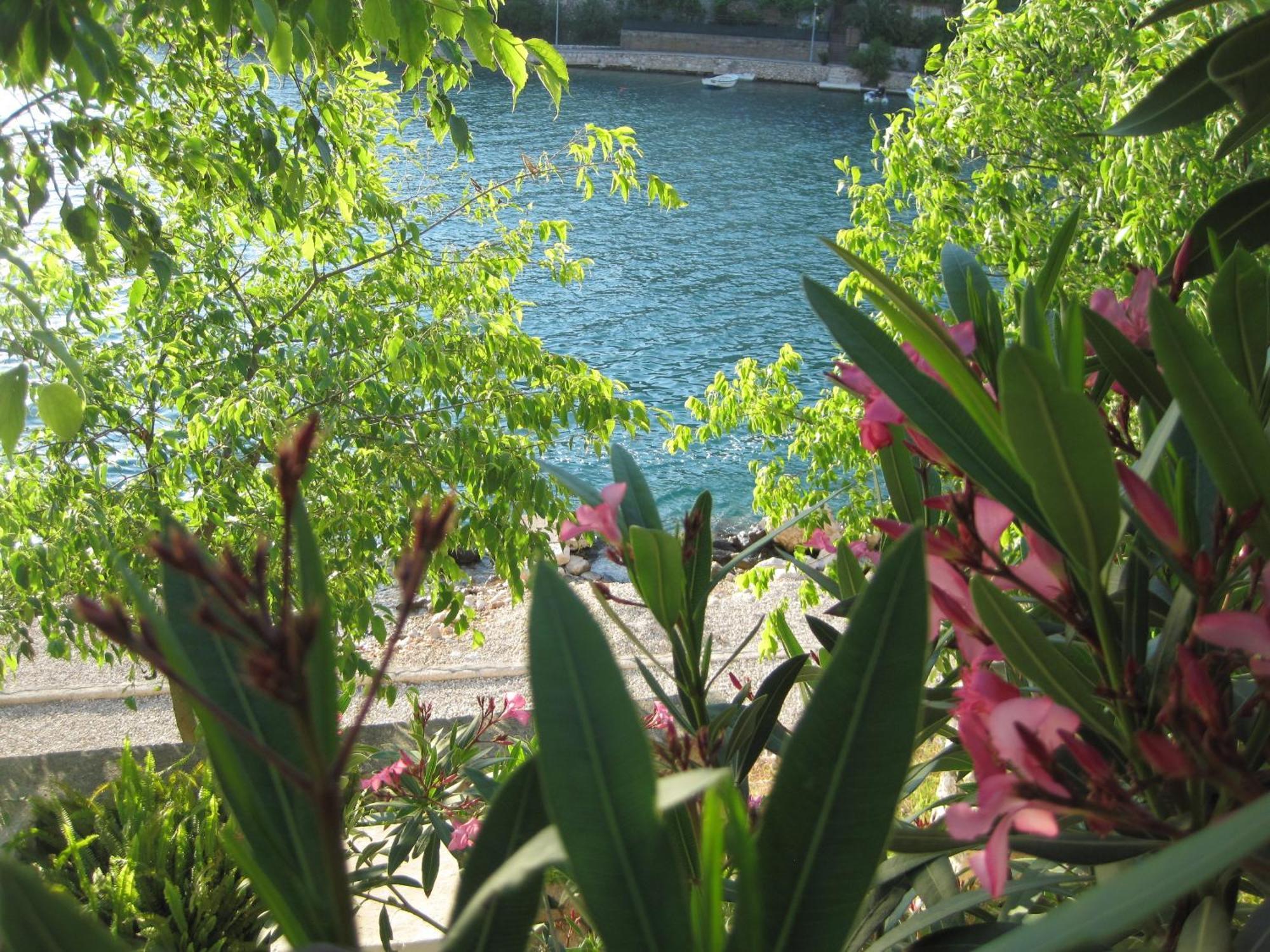 Villa Obad Guest House Neum Luaran gambar